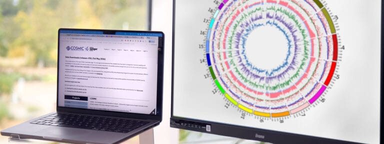 View of knowledgebase on laptop