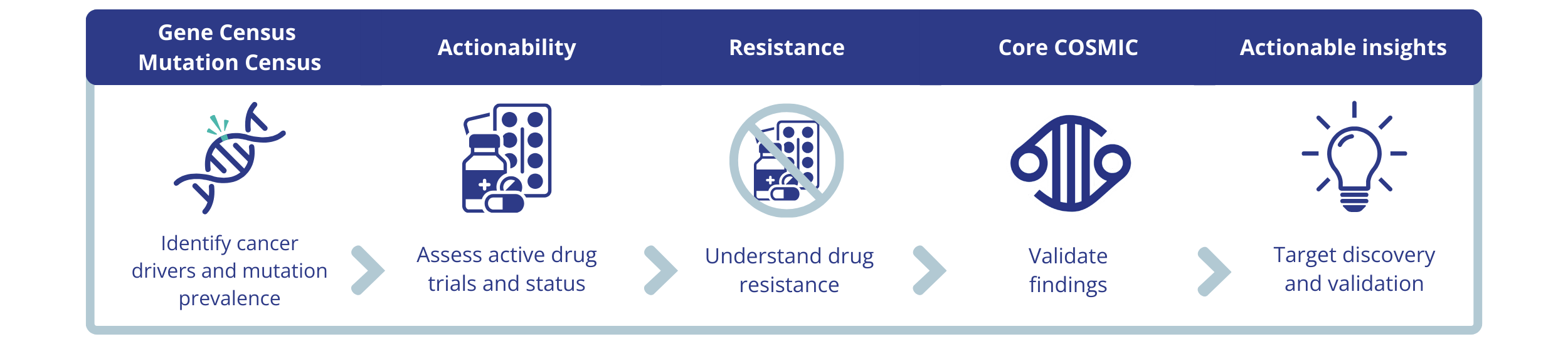 A diagram showing a step by step example of how a use could use different COSMIC modules for target discovery and validation. The five suggested data and steps are as follows: 1.) Gene census and mutation census: Identify cancer drivers and mutation prevalence 2.) Actionability: Assess active drug trials and status 3.) Resistance: Understand drug resistance 4.) Core COSMIC: Validate findings 5.) Actionable insights: Target discovery and validation