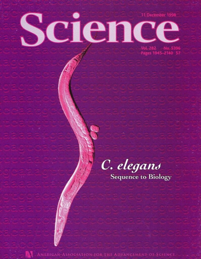 The front cover of Volume 282 of the Journal Science (released: 11 December 1998). The front cover has a purple background covered in a genetic sequence. There is also an electron microscope image of a C. elegans, coloured pink. The cover is highlighting the publication of the paper: Genome sequence of the nematode C. elegans: a platform for investigating biology.