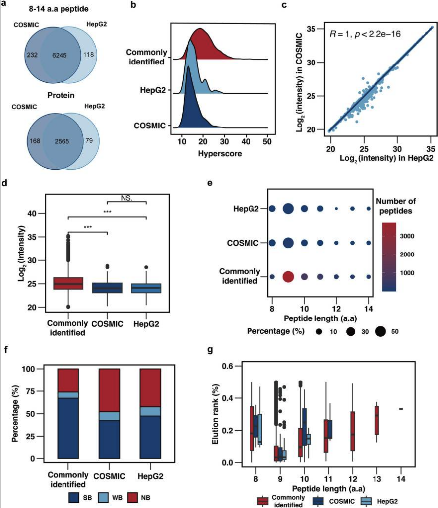 COSMIC-based mutation database enhances identification efficiency of ...